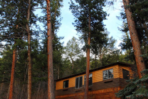 Pine Haven Cabins