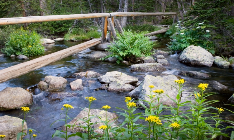 Hiking Trail in Rocky Mountain National Park