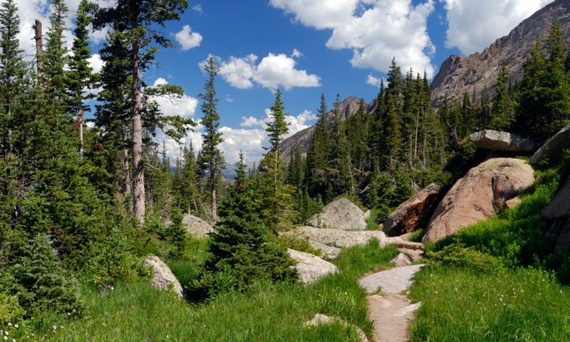 Hiking Trail in Rocky Mountain National Park