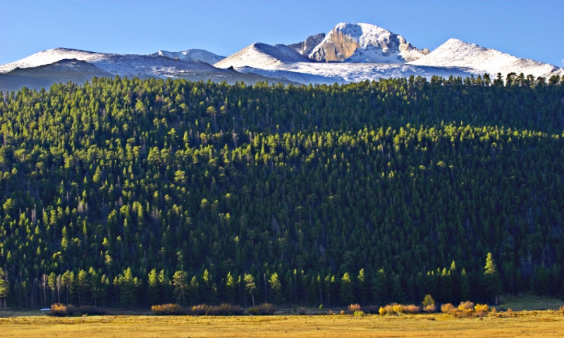 Longs Peak from Moraine Park