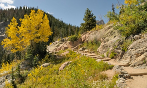 Hiking