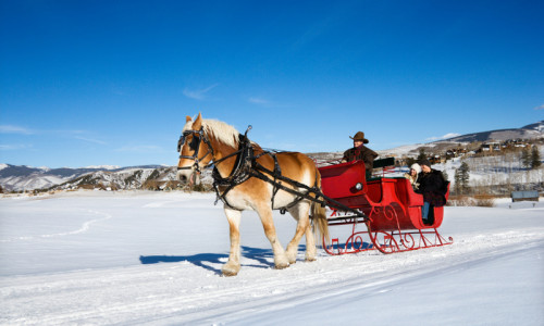 Sleigh Rides